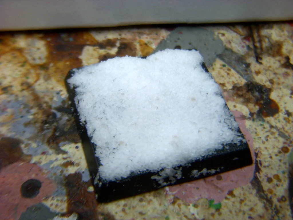 DSCN6881.webp