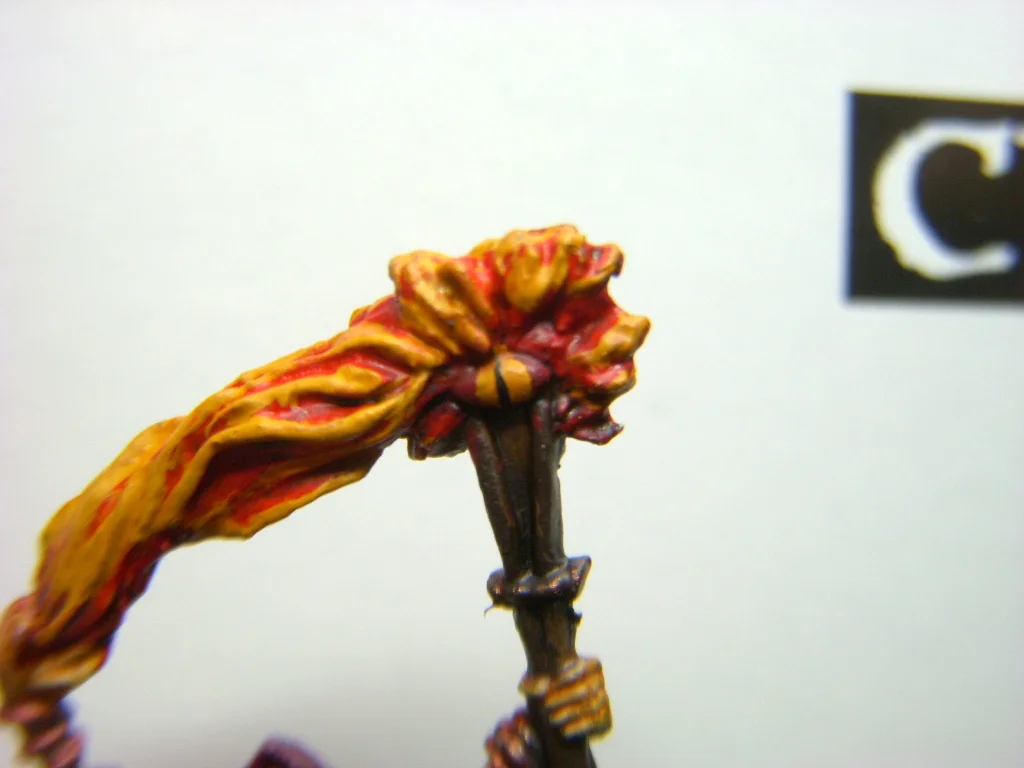 DSCN7520.webp