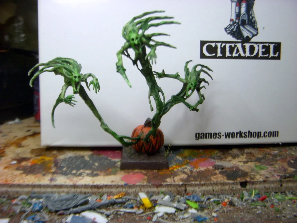 DSCN7537.webp