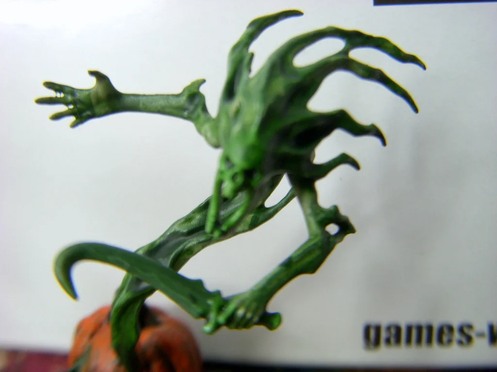 DSCN7545.webp