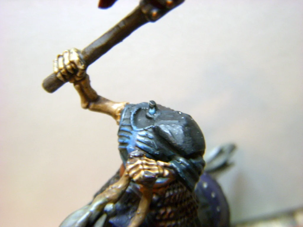 DSCN7565.webp