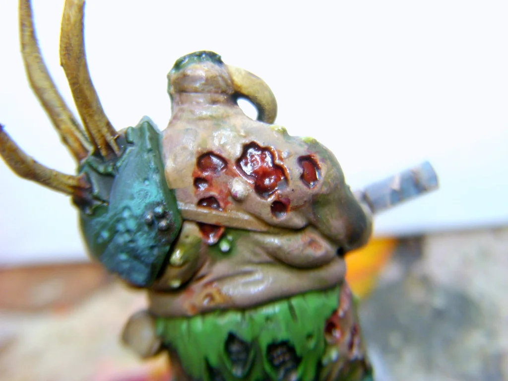 DSCN7637.webp