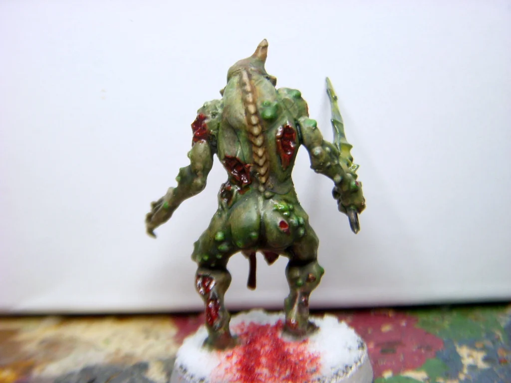 DSCN7671.webp
