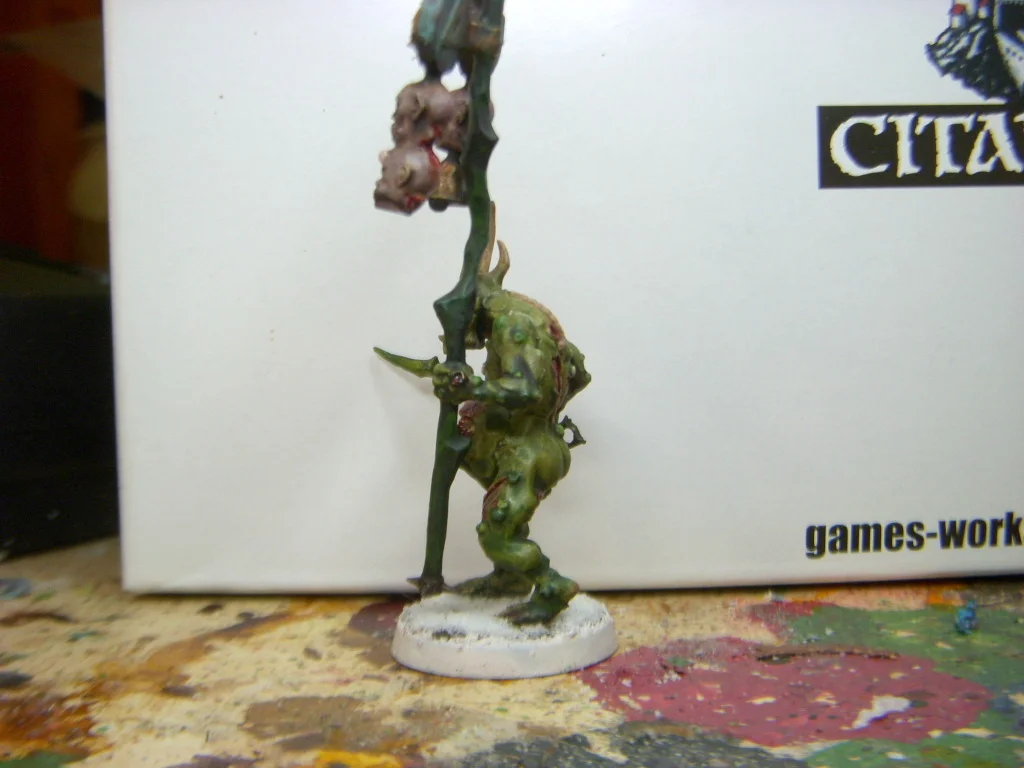 DSCN7702.webp
