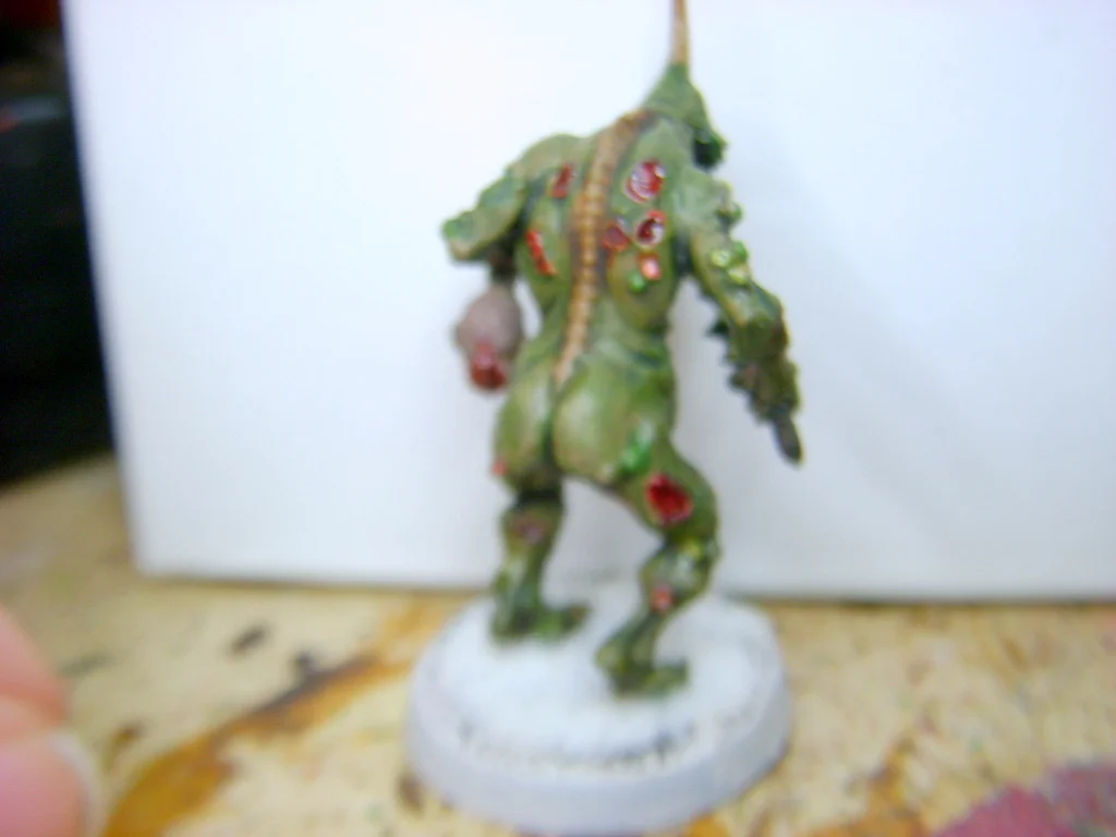 DSCN7719.webp
