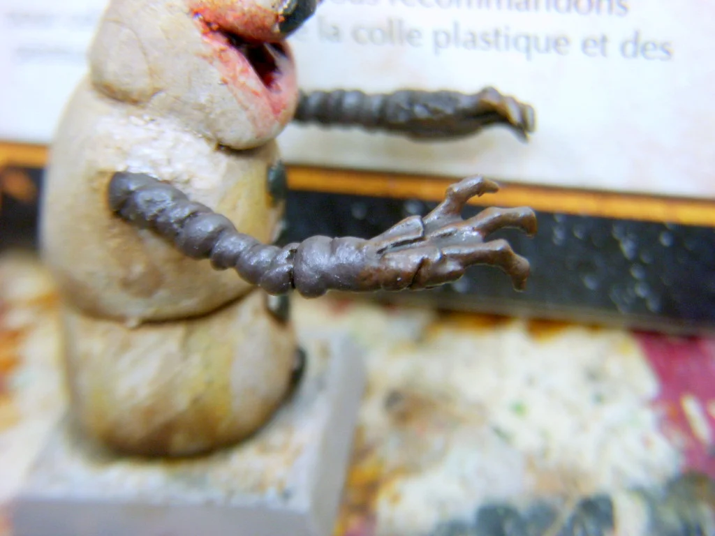 DSCN7763.webp