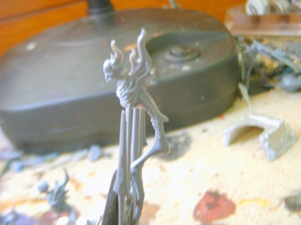 DSCN7885.webp
