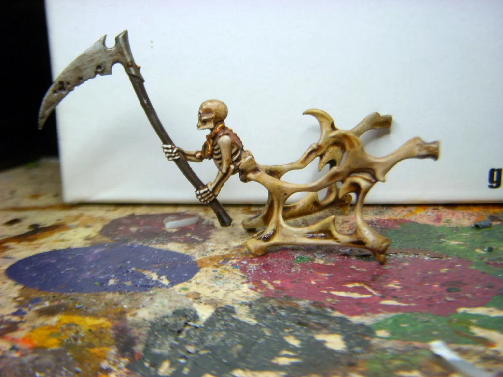 DSCN7933.webp