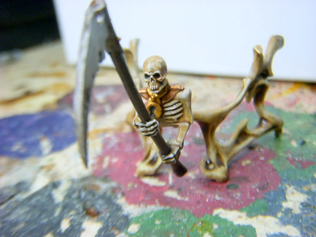 DSCN7936.webp