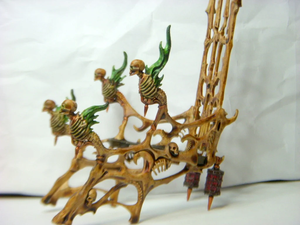DSCN7940.webp