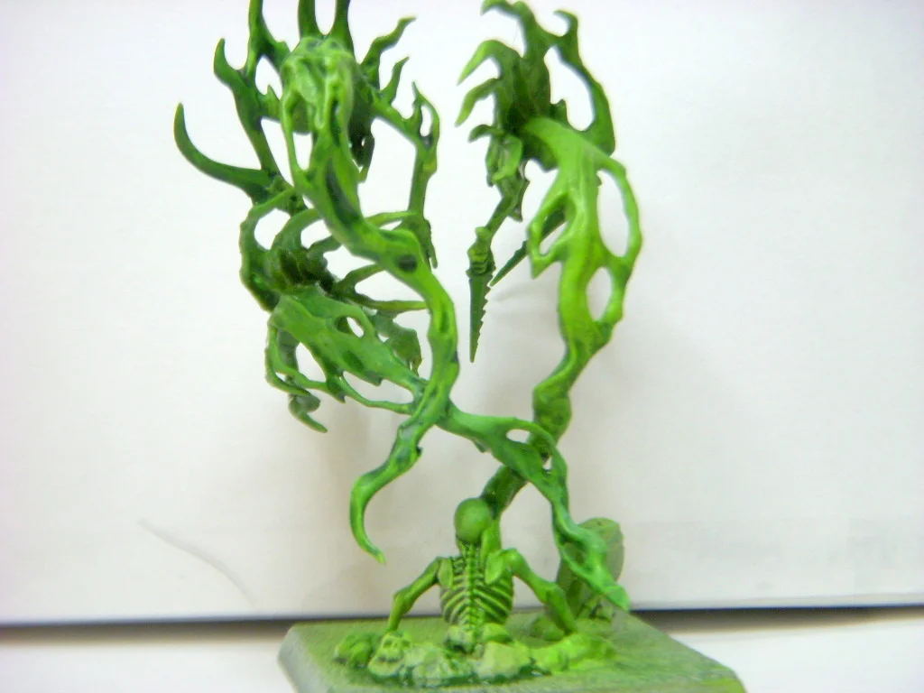 DSCN7980.webp