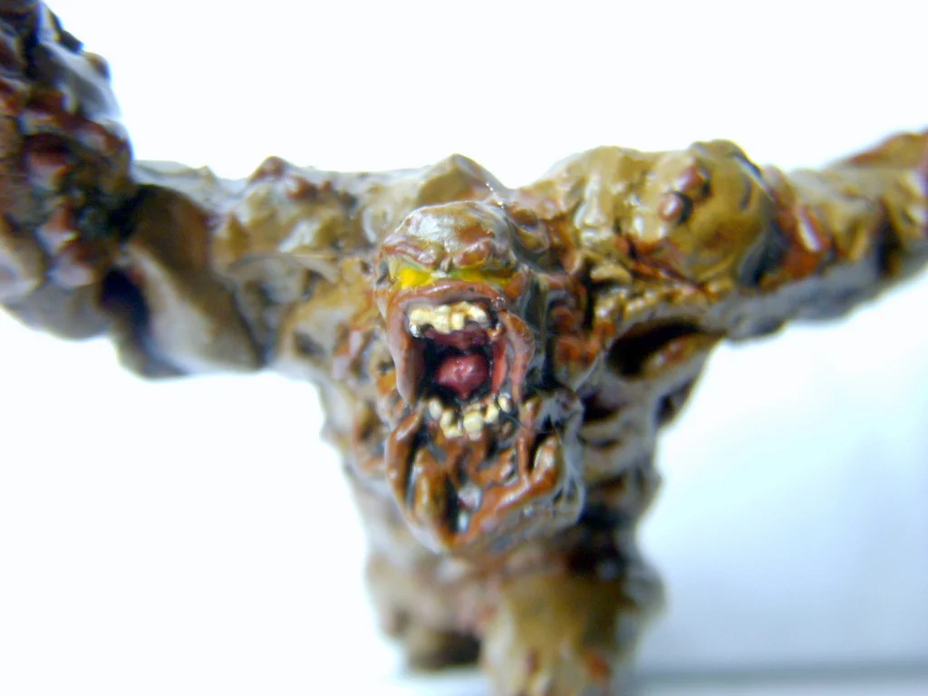 DSCN7985.webp