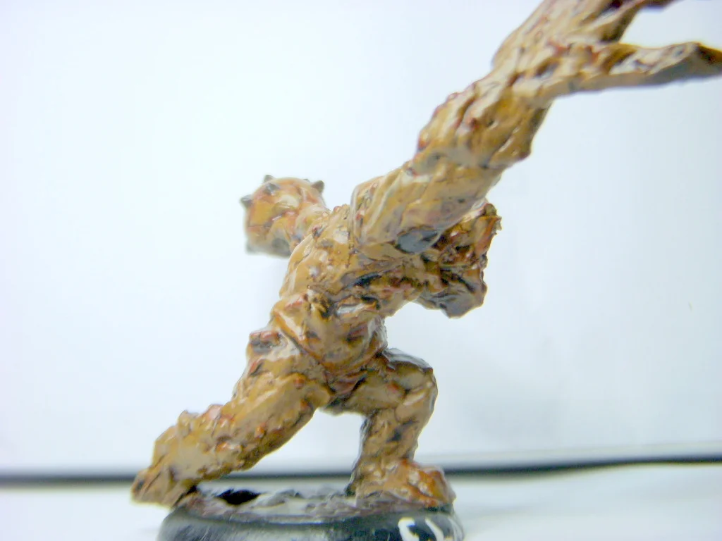 DSCN7989.webp
