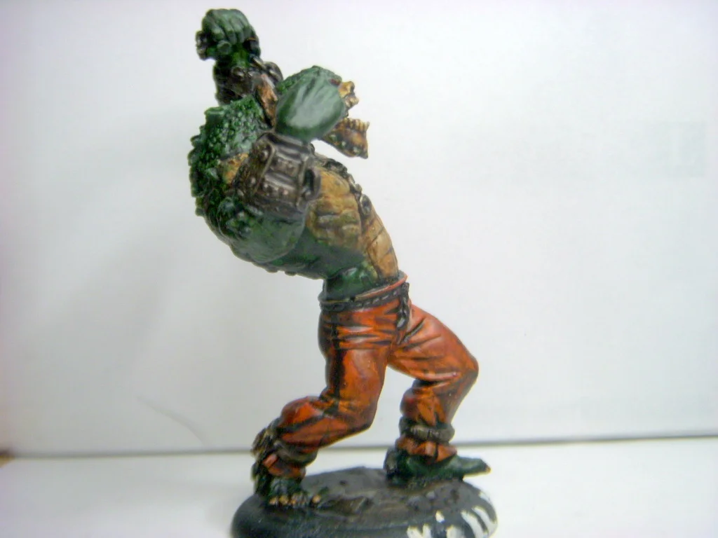 DSCN8093.webp