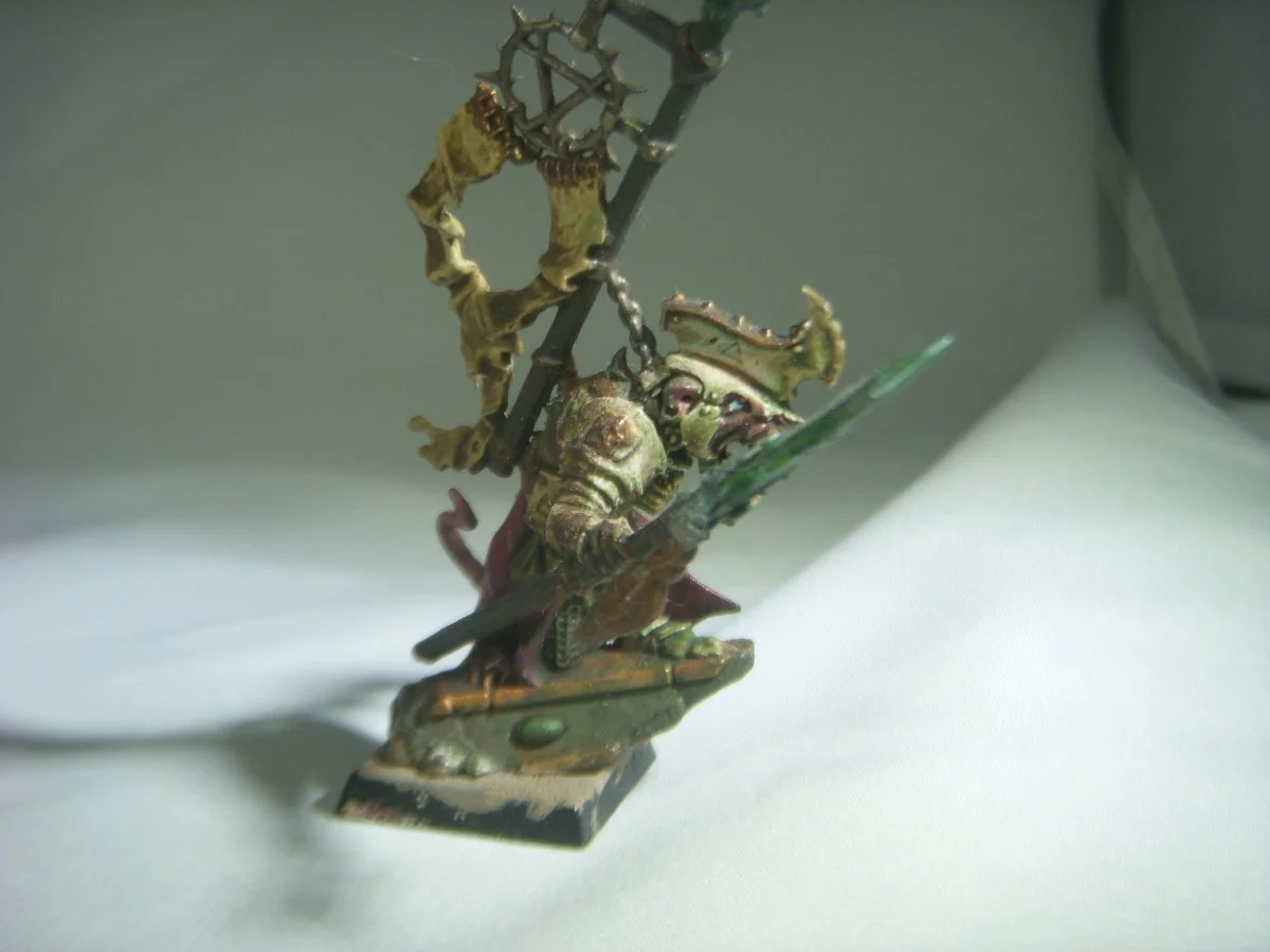 DSCN8376.webp