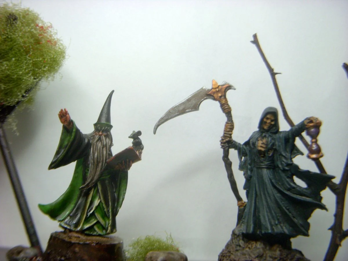 DSCN8458.webp
