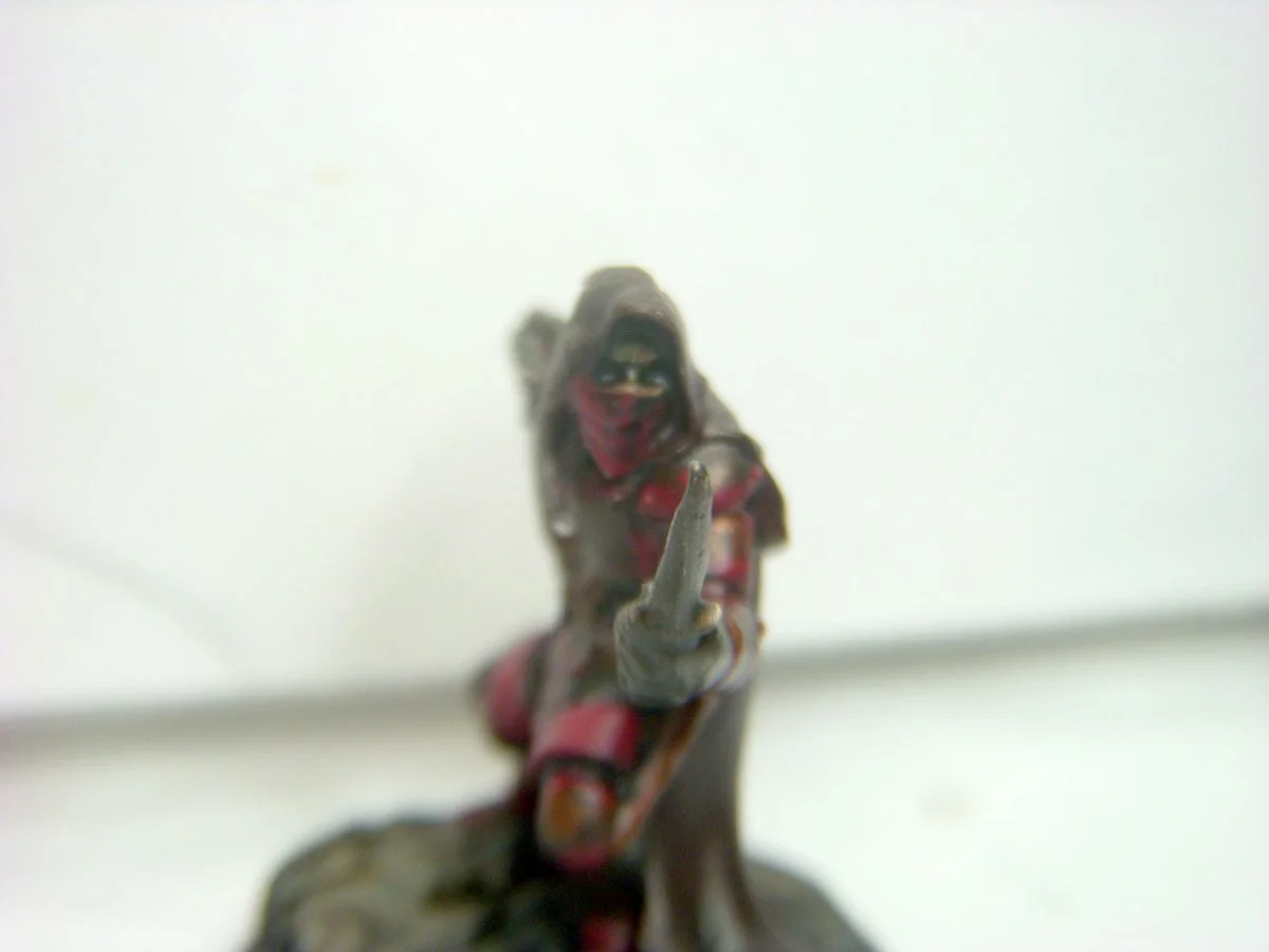 DSCN8470.webp
