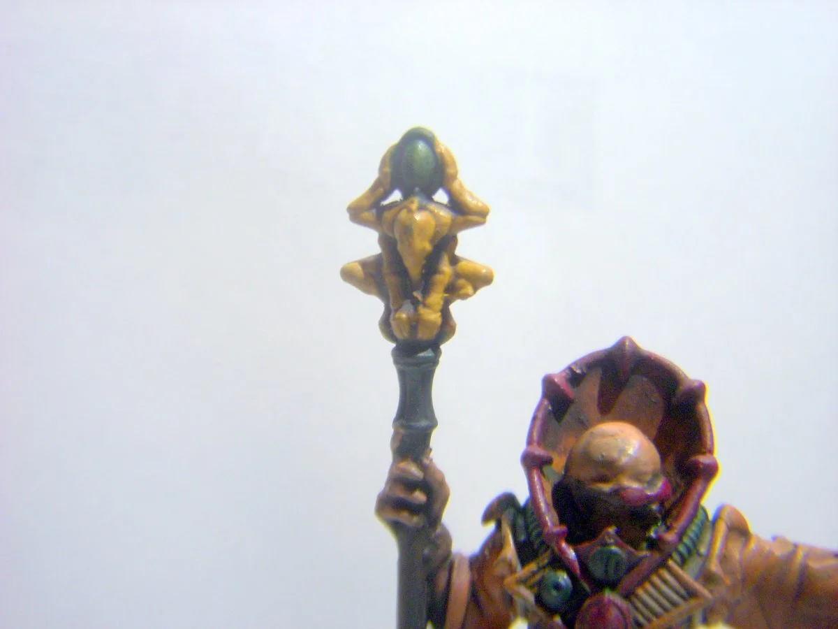DSCN8511.webp