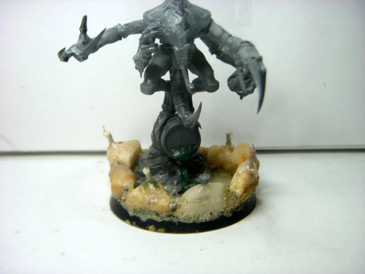 DSCN8539.webp
