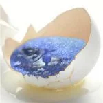Easteravatar_7328_zps6dc5ea56.webp