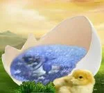 Easteravatar_7328b_zpsed7f6d62.webp