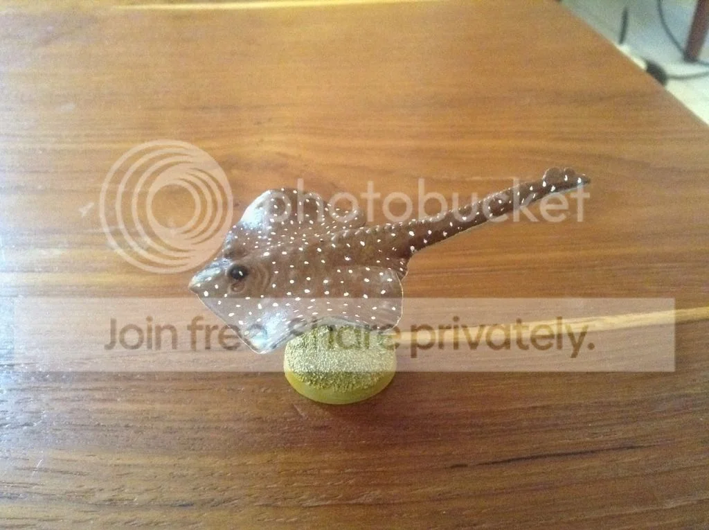 image_zpszbtflbex.webp