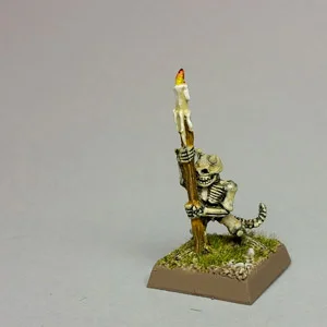 miniskel.webp