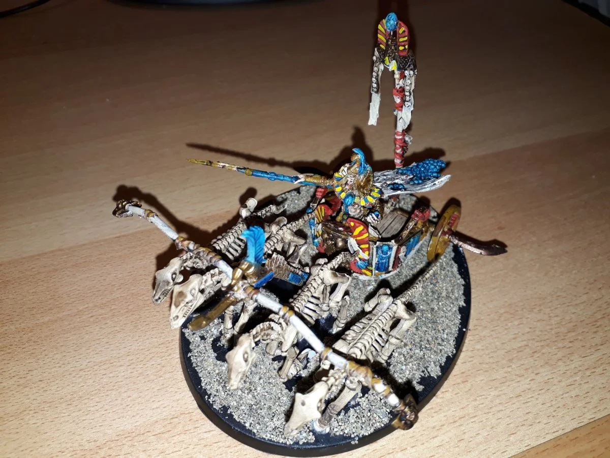 TRUE SETTRA 03 reduced.webp
