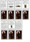 cards.webp