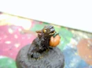 DSCN7486.webp