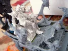 DSCN7917.webp