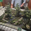 DA SWAMP TERRAIN 001.webp