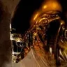 thehivemind33