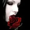 MidKnightsRose